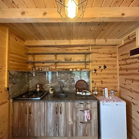 公寓式酒店 Melenkale Dagevi 里泽